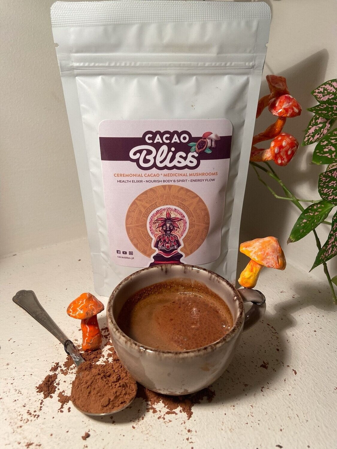 Cacao Bliss & Mushrooms 100g